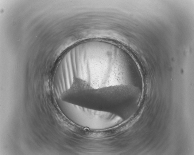 X0000087601497200705112315