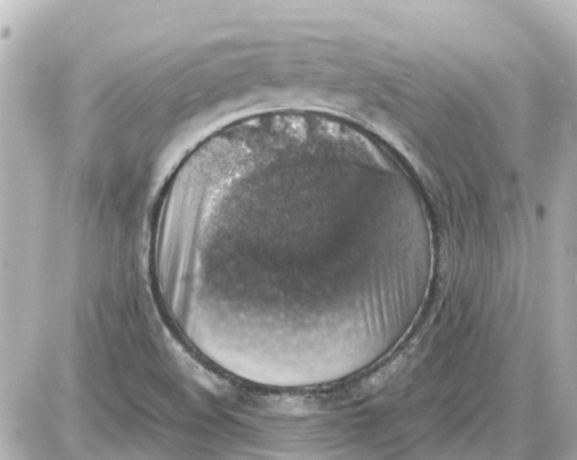 X0000087601508200705112315