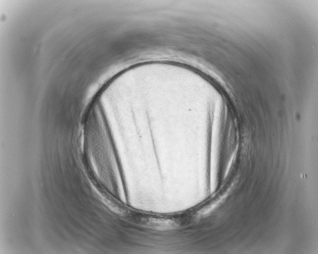 X0000087601509200705112315