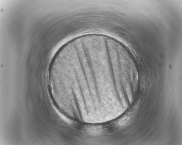 X0000087601519200705112315
