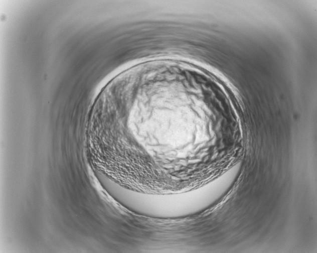 X0000087601534200705112315