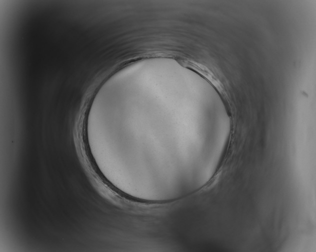 X0000087600001200705181245