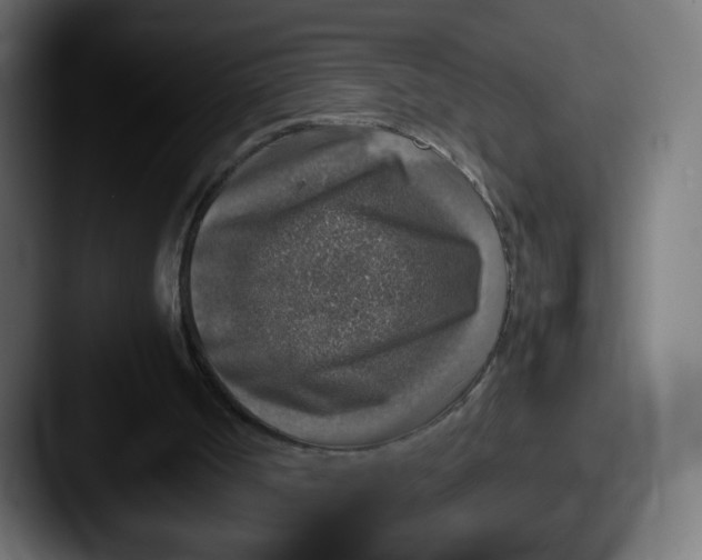 X0000087600002200705181245