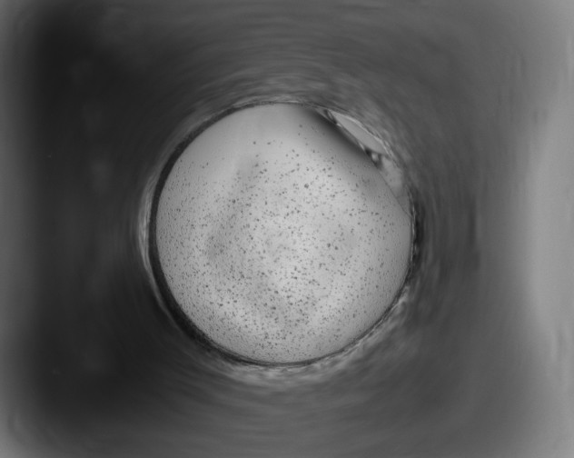 X0000087600003200705181245