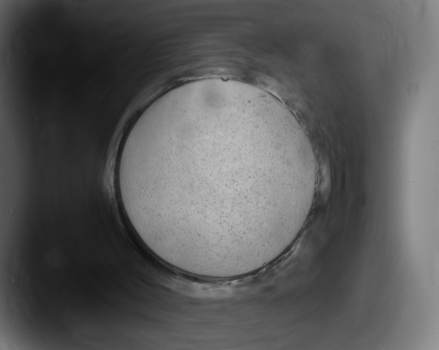 X0000087600004200705181245