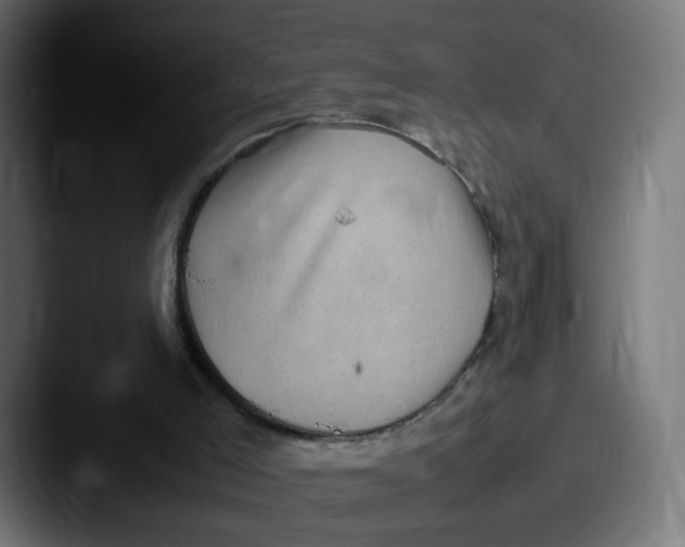 X0000087600005200705181245