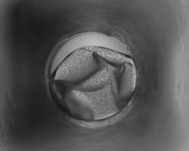 X0000087600006200705181245