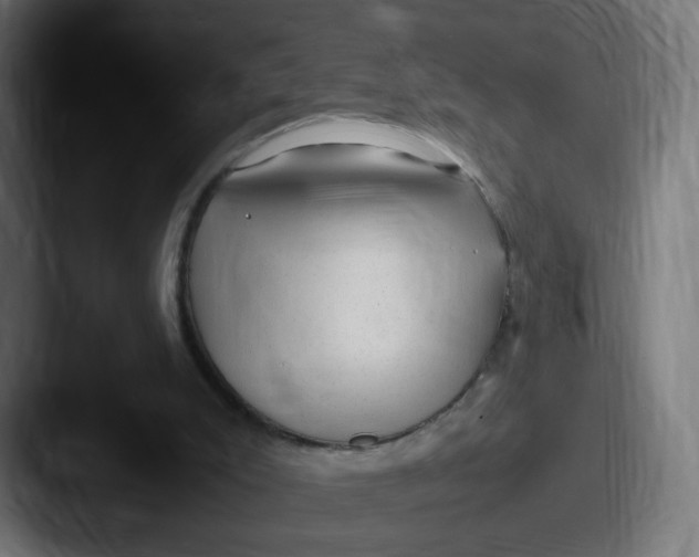 X0000087600007200705181245