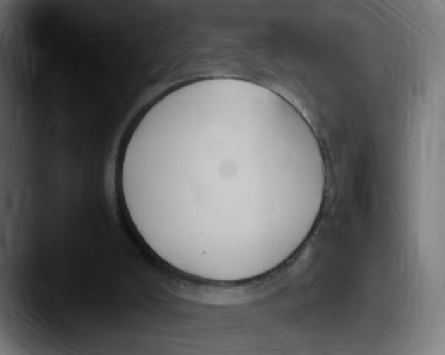 X0000087600008200705181245