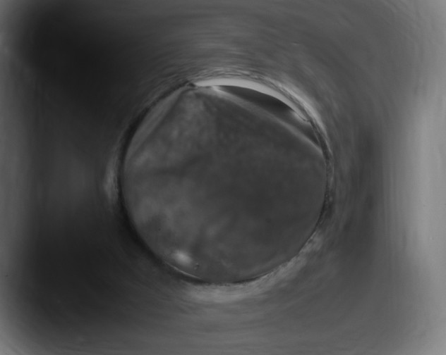 X0000087600009200705181245