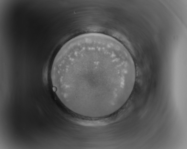 X0000087600012200705181245