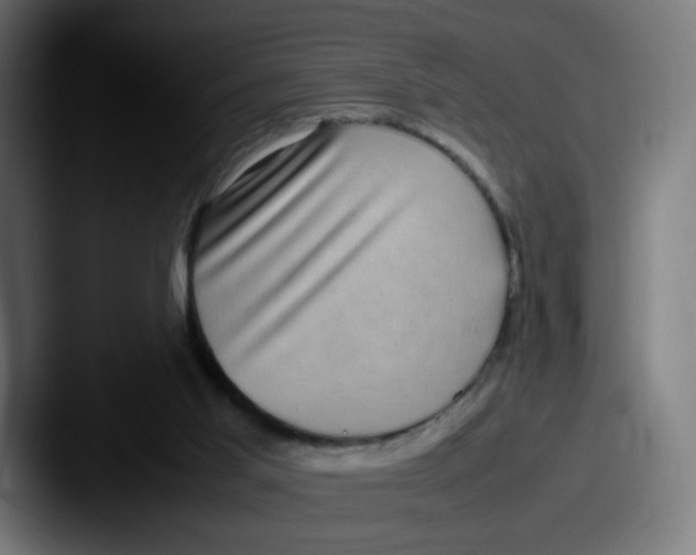 X0000087600013200705181245