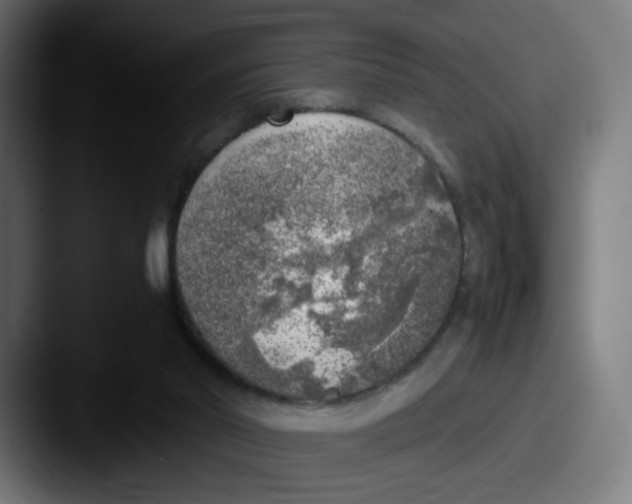 X0000087600014200705181245