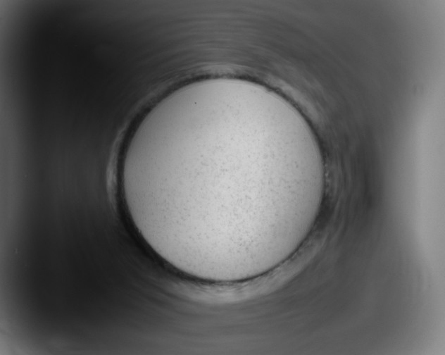 X0000087600015200705181245