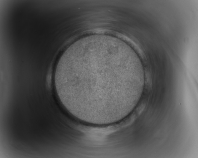 X0000087600016200705181245