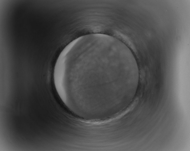 X0000087600018200705181245