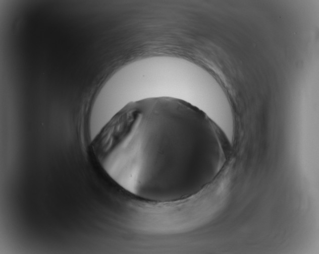 X0000087600019200705181245