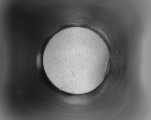 X0000087600020200705181245