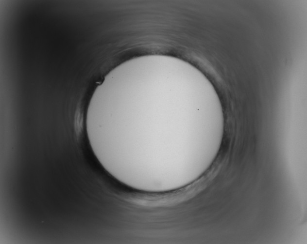 X0000087600021200705181245