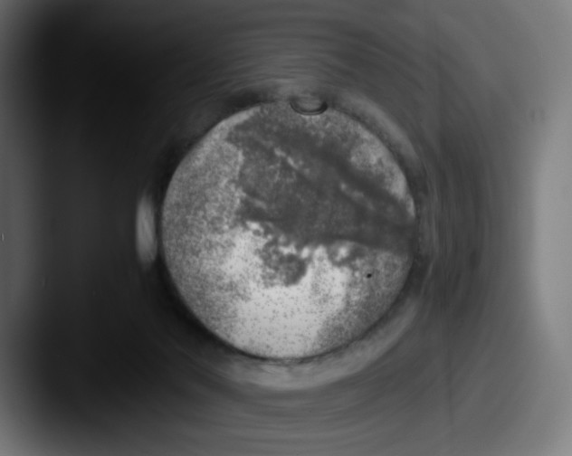 X0000087600022200705181245