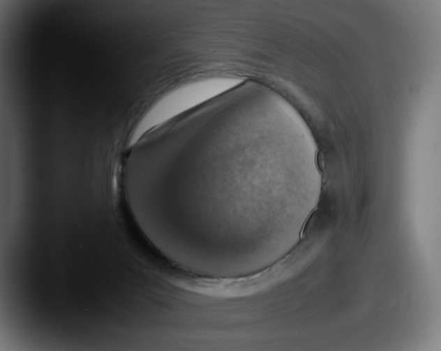 X0000087600023200705181245