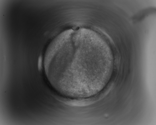 X0000087600024200705181245