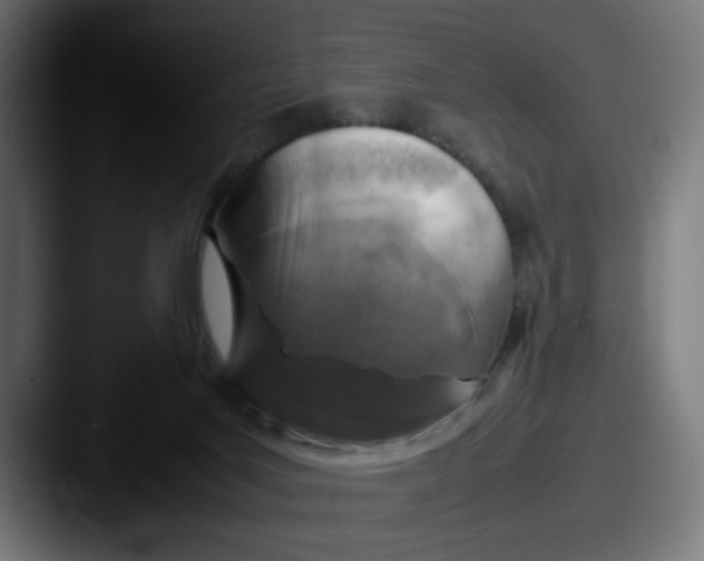 X0000087600027200705181245