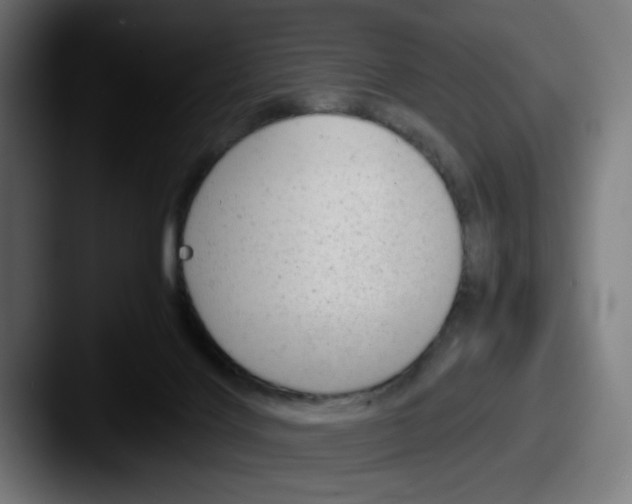 X0000087600028200705181245