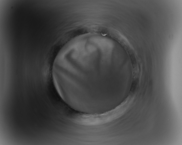 X0000087600029200705181245