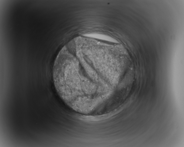 X0000087600030200705181245