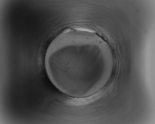 X0000087600031200705181245