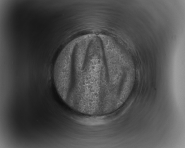 X0000087600032200705181245