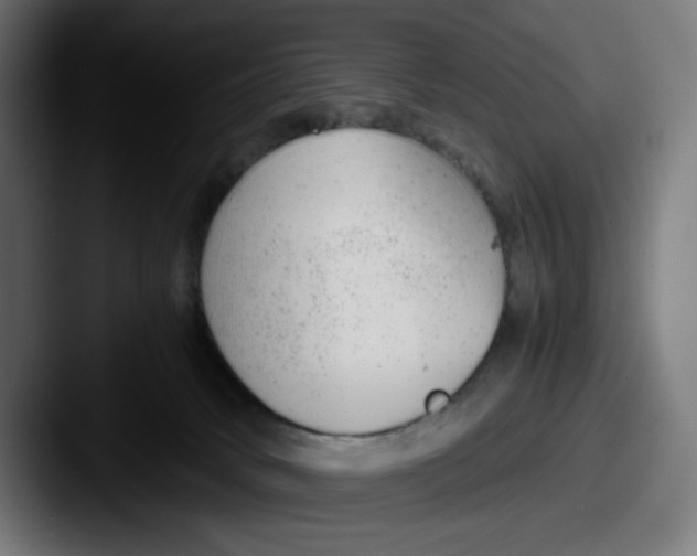 X0000087600034200705181245