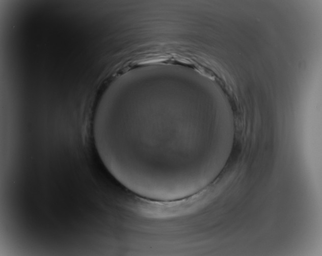 X0000087600035200705181245