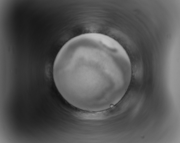 X0000087600036200705181245