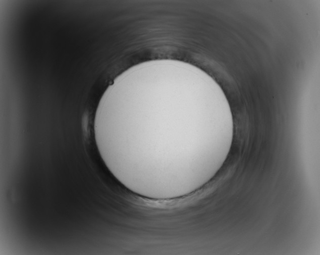 X0000087600038200705181245