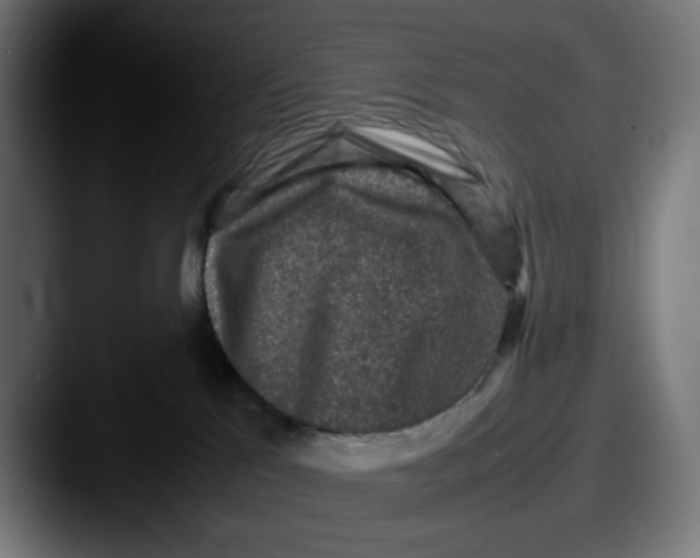 X0000087600041200705181245