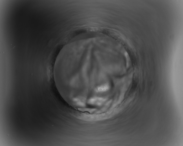 X0000087600043200705181245