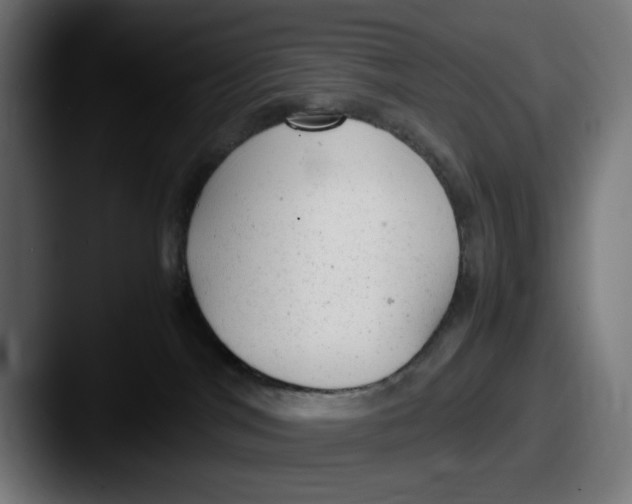 X0000087600044200705181245