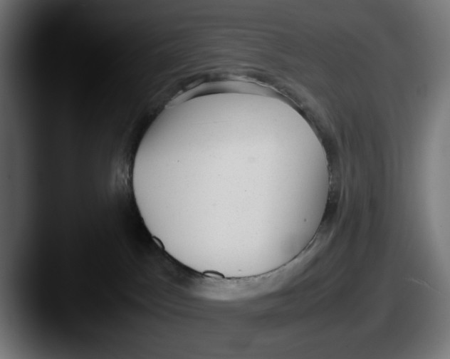 X0000087600045200705181245