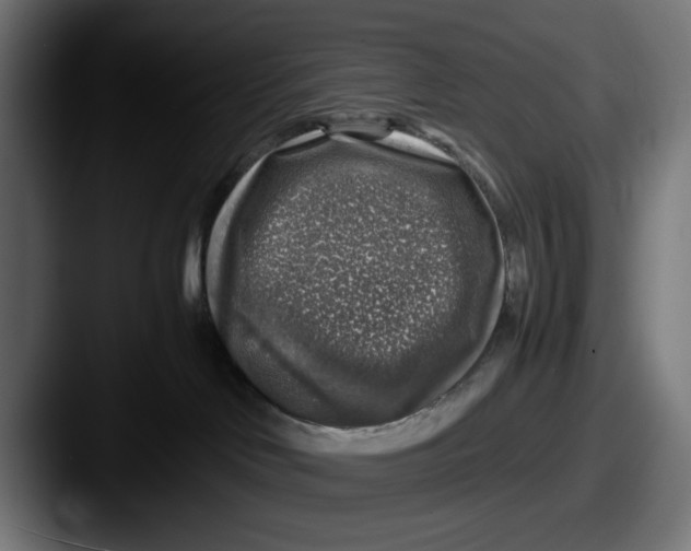 X0000087600046200705181245