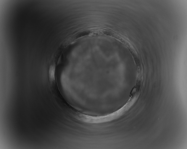 X0000087600047200705181245