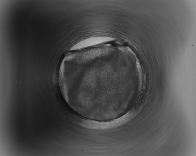 X0000087600048200705181245