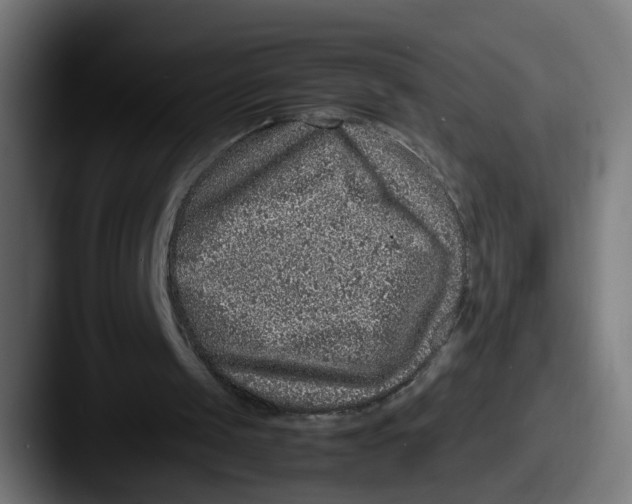 X0000087600049200705181244