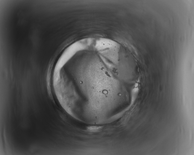 X0000087600051200705181244