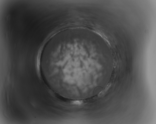 X0000087600053200705181244