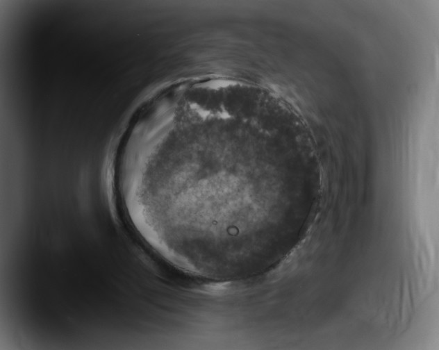 X0000087600054200705181244