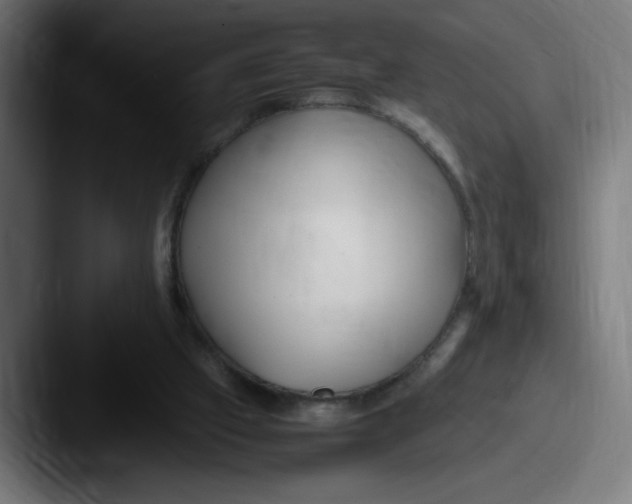 X0000087600057200705181244