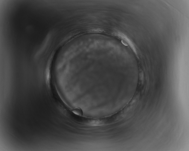 X0000087600059200705181244