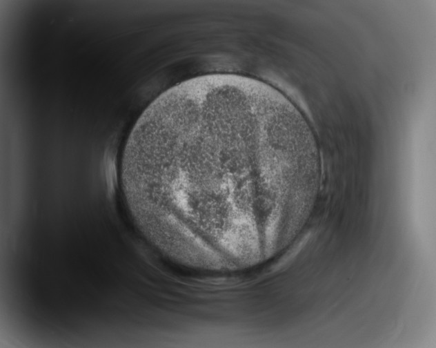 X0000087600061200705181244